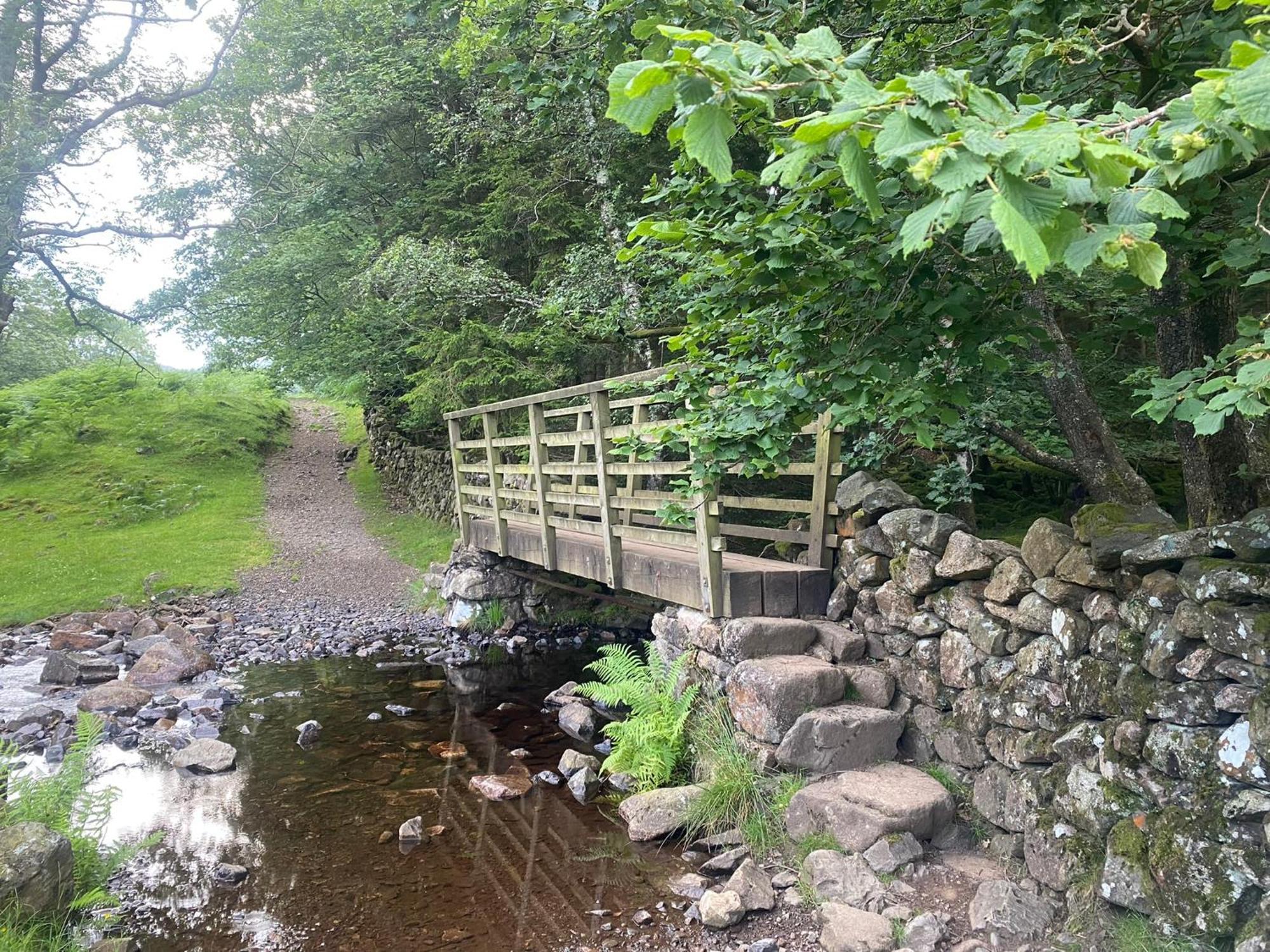 Cosy Glamping In The Eskdale Valley - Studio Lodges And Mega Pods Bagian luar foto